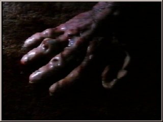 Fright Night 5