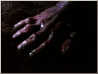 Fright Night 6