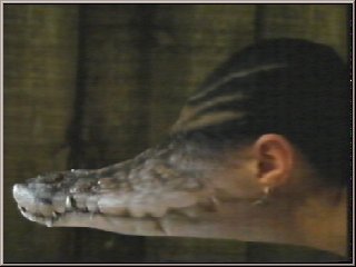 Pic 13