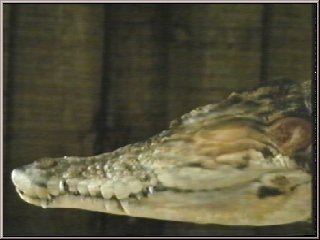 Pic 14