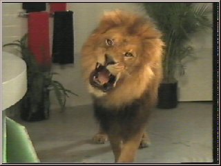 Pic 7