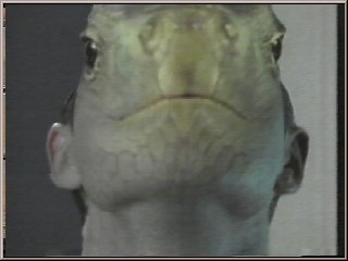 Pic 2