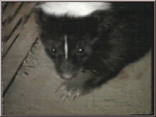 Pic 7